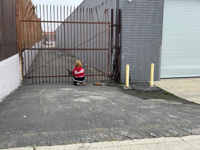 A woman in a red t-shirt stands next to a gate facing away from the camera.